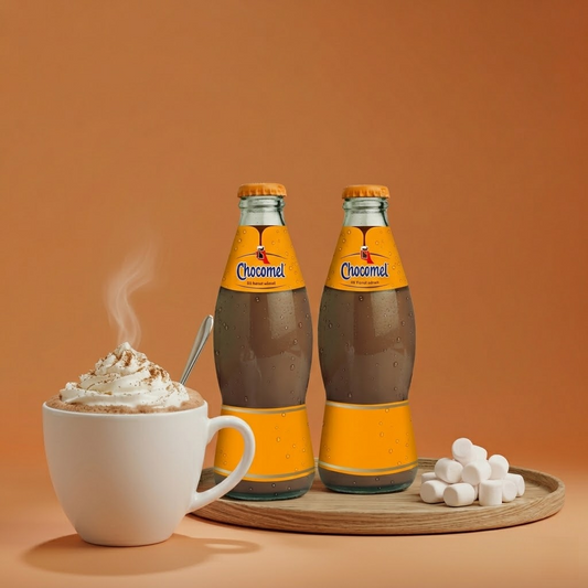 Chocomel 200ml 2-pack